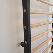 ARTIMEX Sprossenwand aus Metall/Holz für Physiotherapie und Gymnastik-Wird in Heimen, Fitnessstudios, Kliniken und Fitnesscentern verwendet – Artikelnr. 221-M-Schwarz