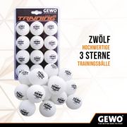 GEWO PS Blast Carbon Tischtennisschläger & GEWO Tischtennisbälle Training 40+ – ITTF genehmigter Profi-Tischtennisschläger, konkav, 1,8mm Schwamm + 3 Sterne Tischtennis-Ball, 12 Stück